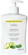 cosiMed Massagelotion Ginkgo-Limette 500 ml