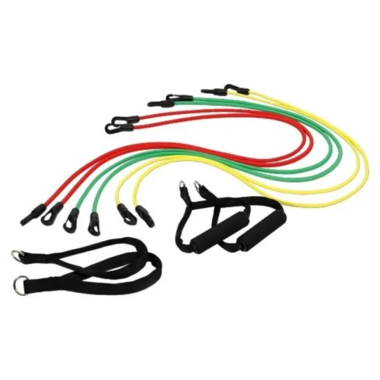 Theragym Pro Komplett Set 