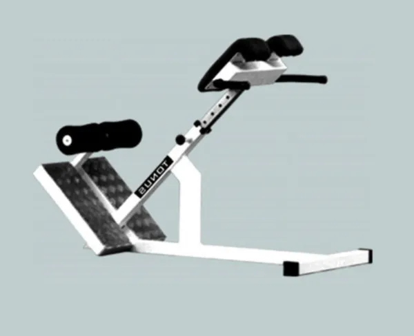 Hyperextension Rumpfheber