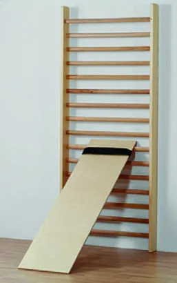 Schrägbrett zum Einhängen Sprossenwand