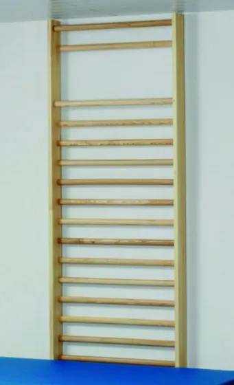 Sprossenwand 2,60 x 80 cm