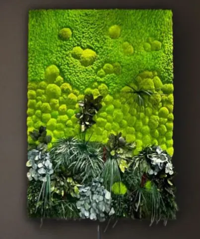 Moosbild Dschungel Vibes Island mit Ballenmoos & Dschungelmoos