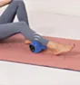 Vibritionis Roll 